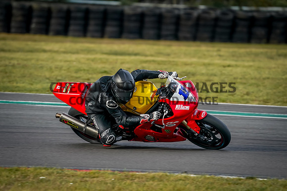 SUN06289