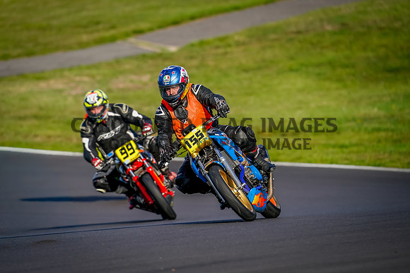 SUN03347