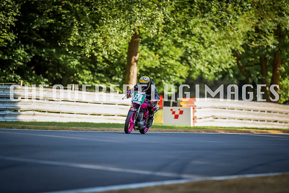 BI5I1991